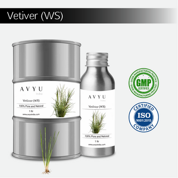 Vetiver (WS)