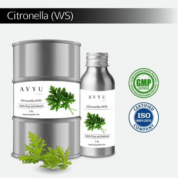 Citronella (WS)