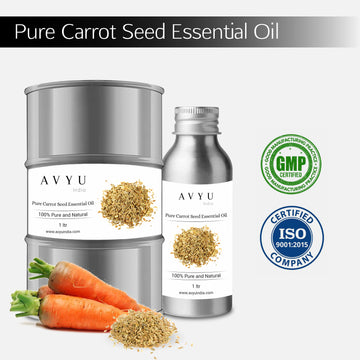 Pure Carrot Seed Essential Oil