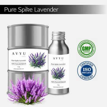 Pure Spike Lavender