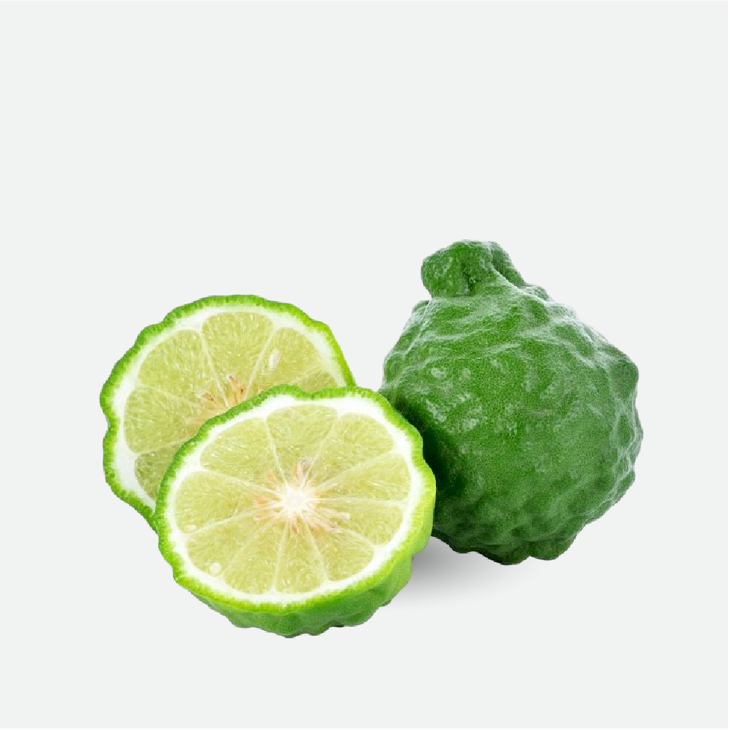 Bergamot (WS)