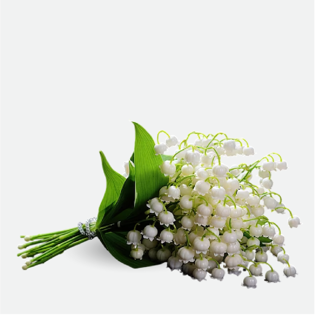 Lily of the Valley (WS)