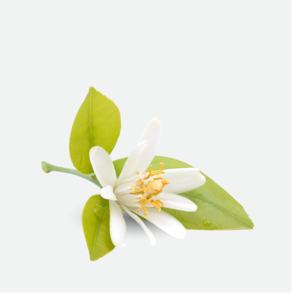 Neroli – Intense (WS)