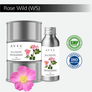 Rose Wild (WS)