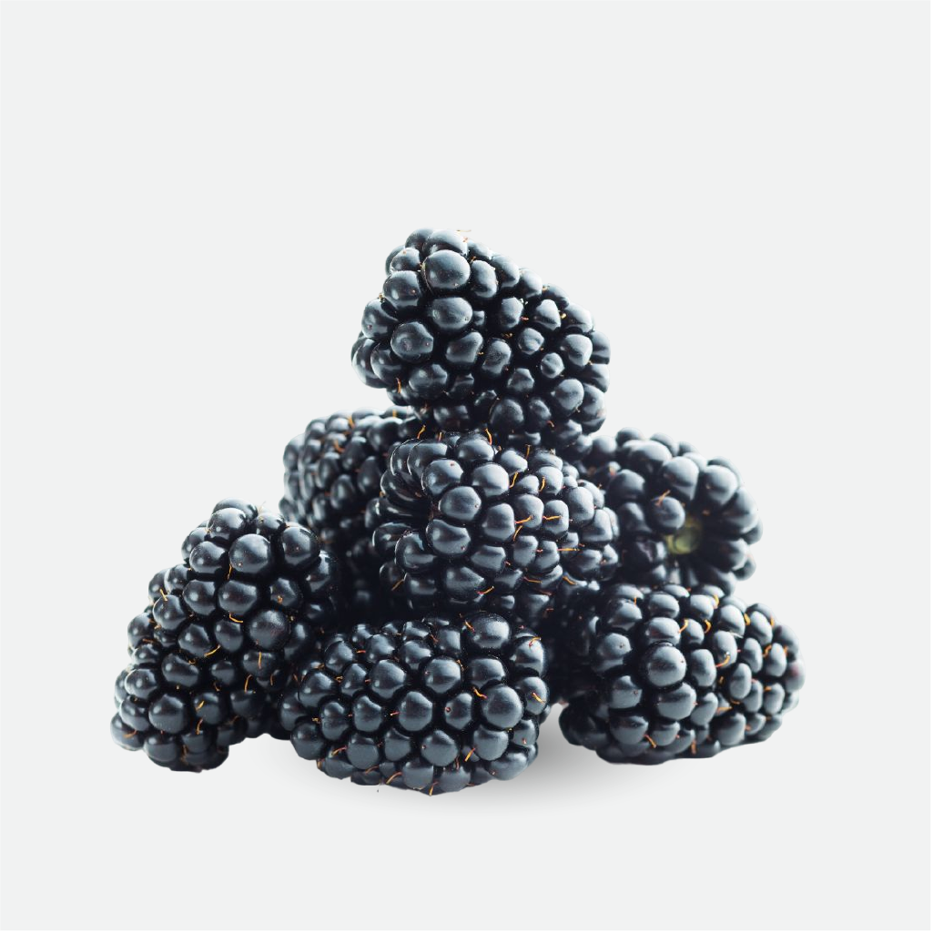 Black Berry (WS)