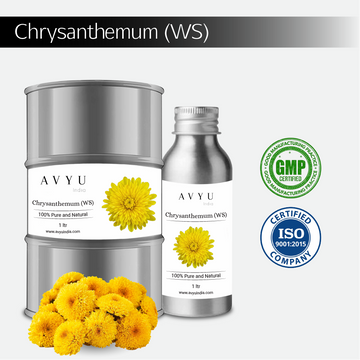 Chrysanthemum (WS)