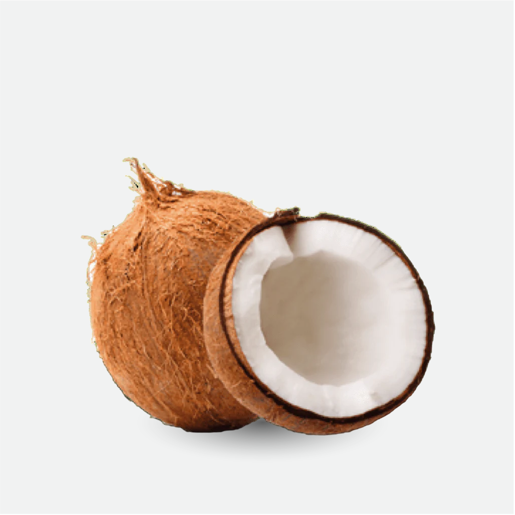 Coconut (WS)