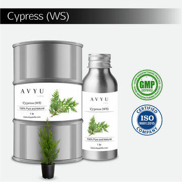 Cypress (WS)