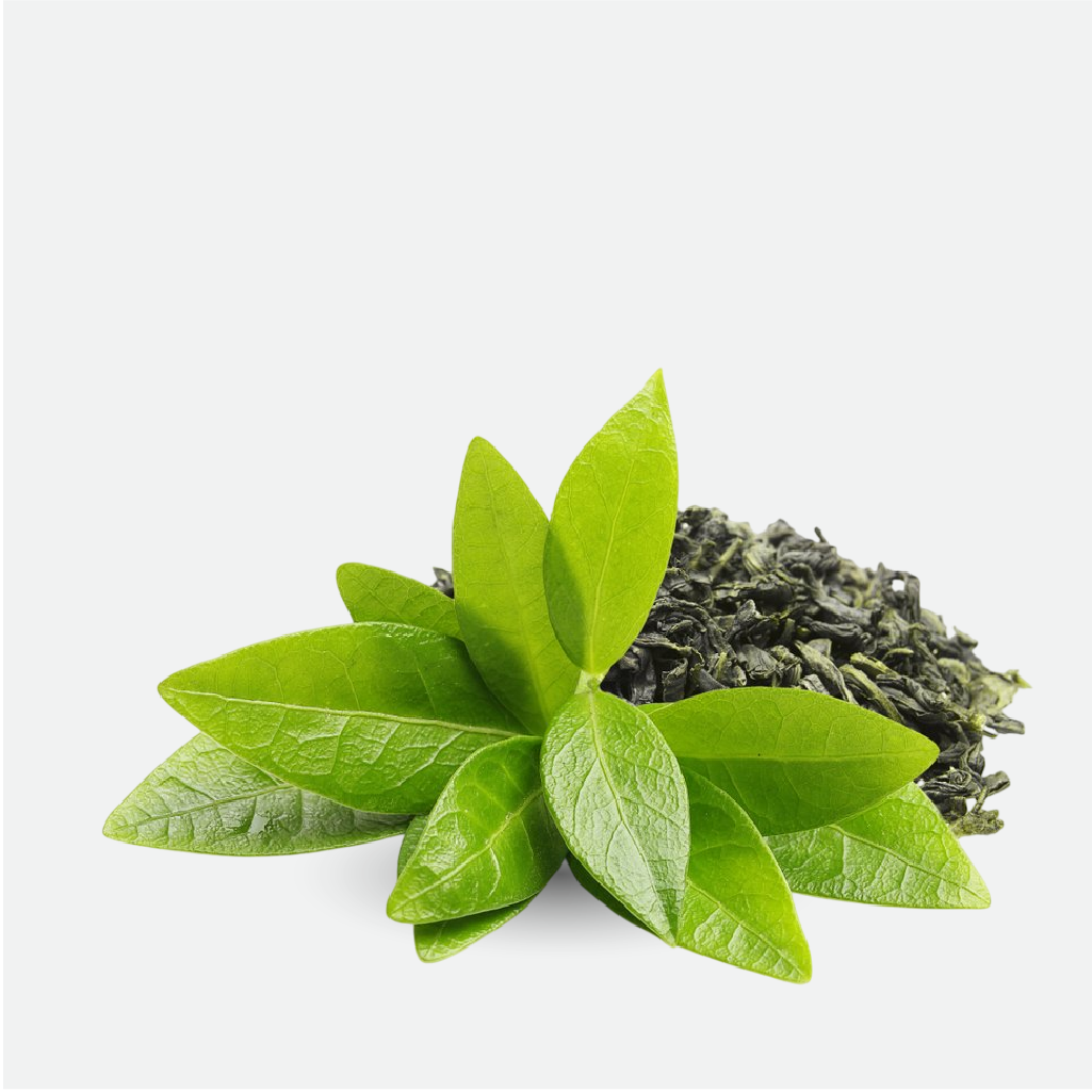 Green Tea (WS)