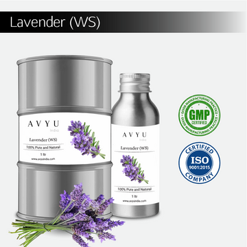 Lavender (WS)