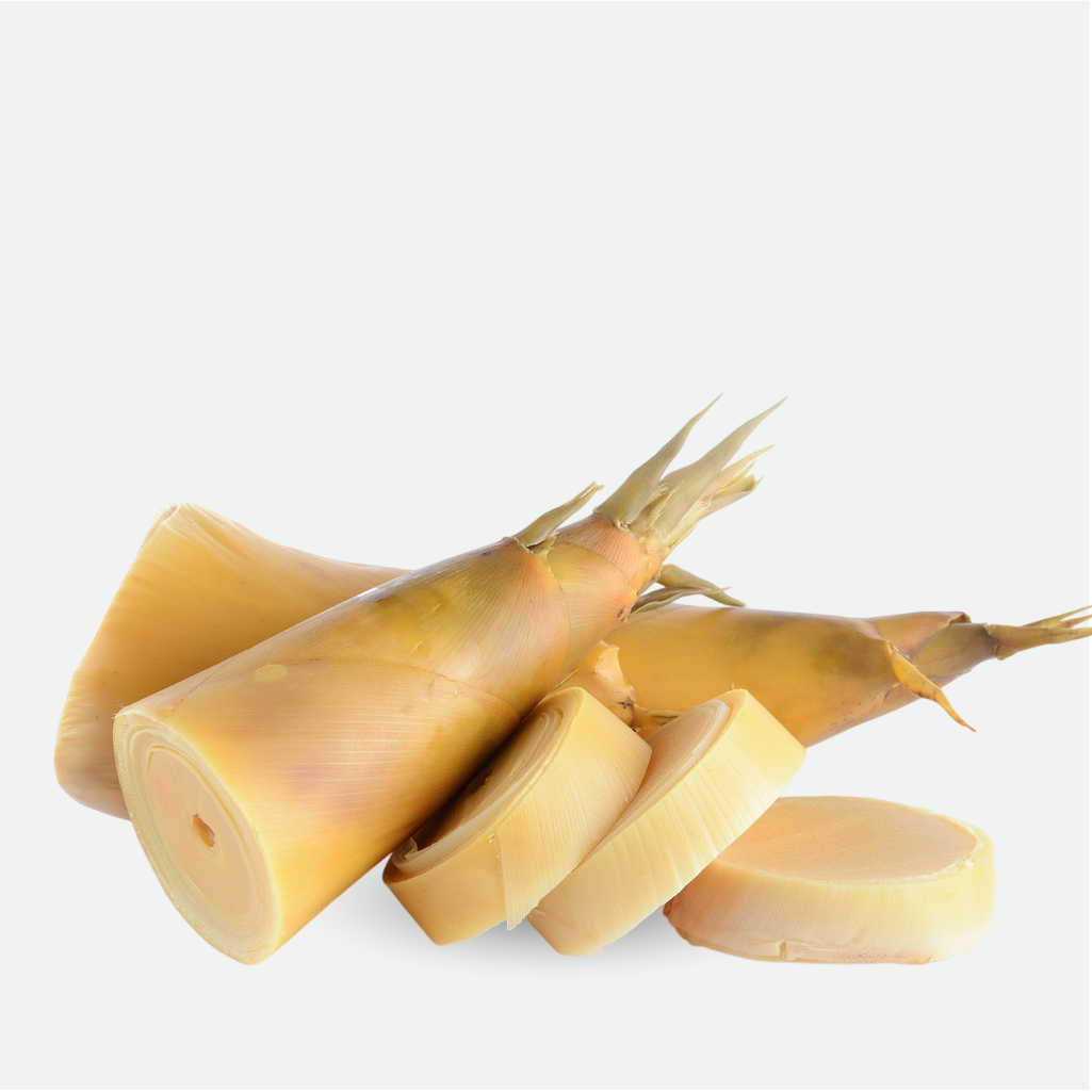 Bamboo Shoots