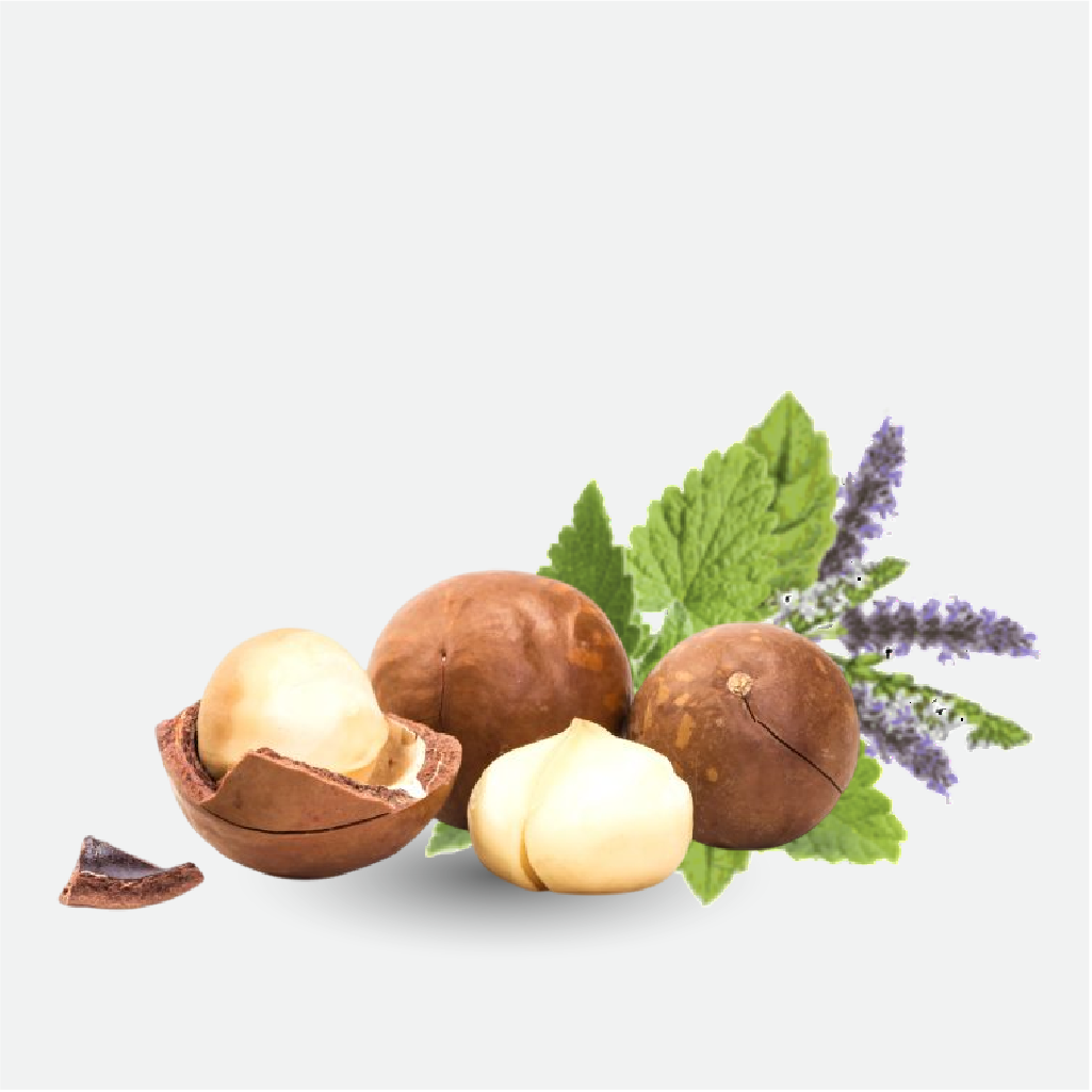 Patchouli and Macadamia