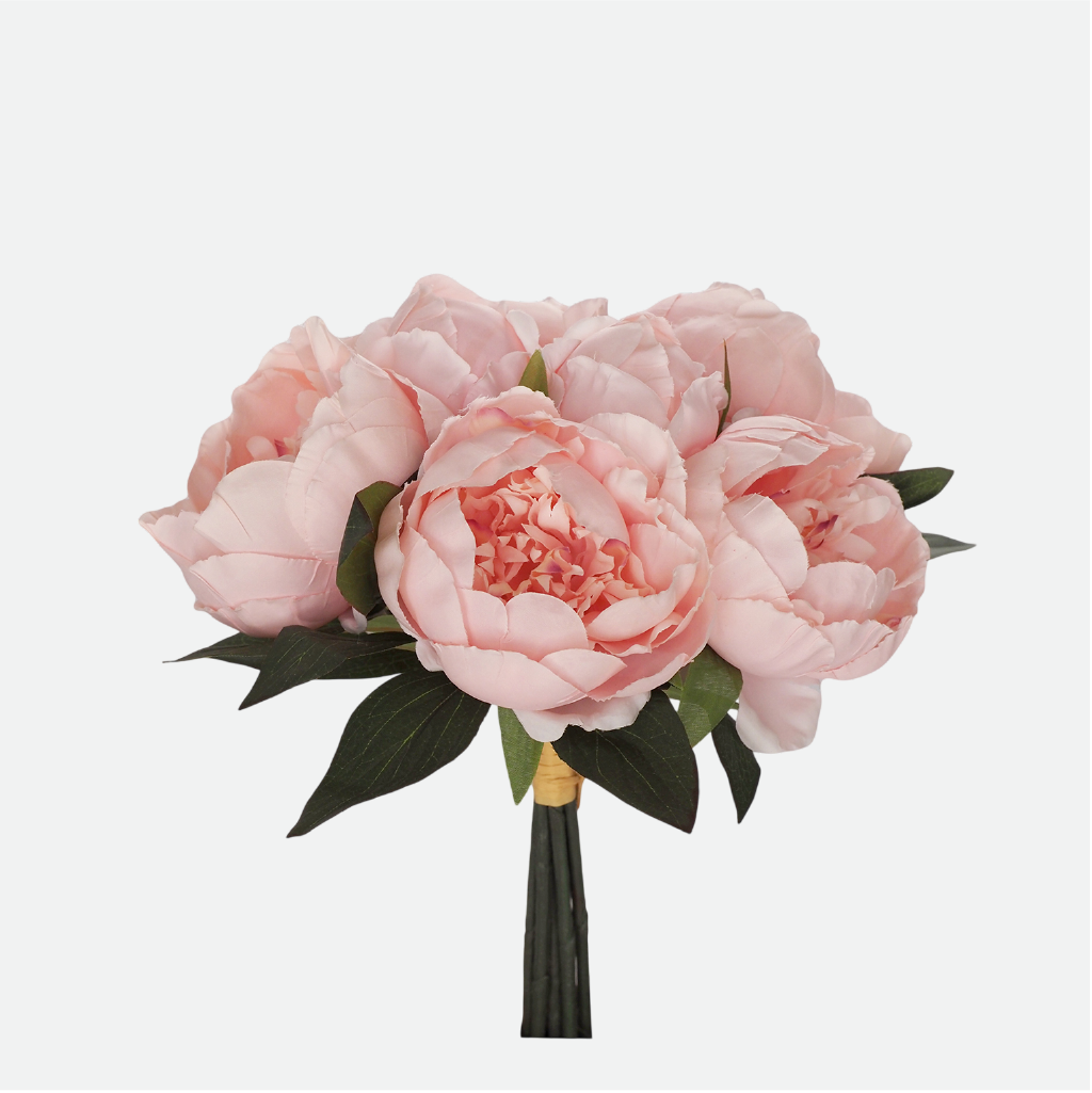 Peony and Mulberry