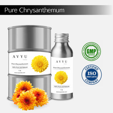 Pure Chrysanthemum