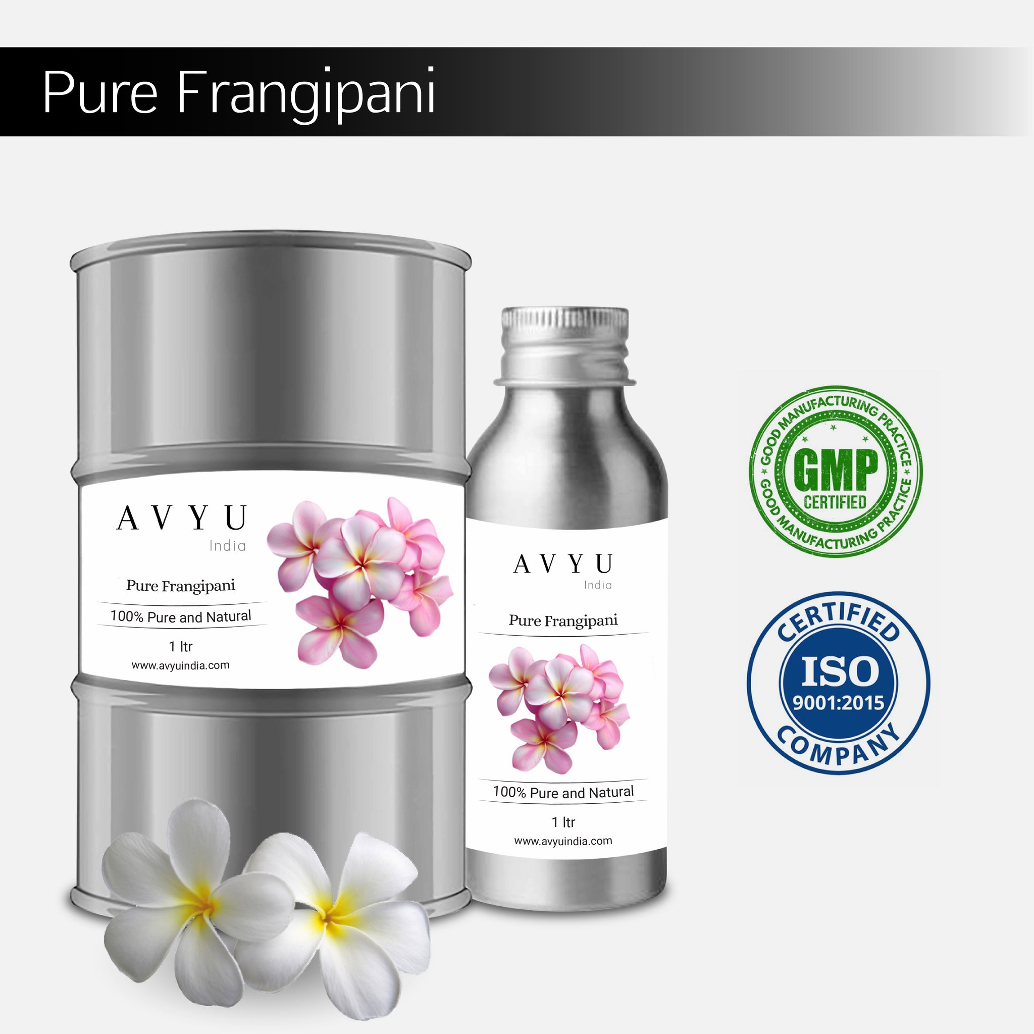 Pure Frangipani