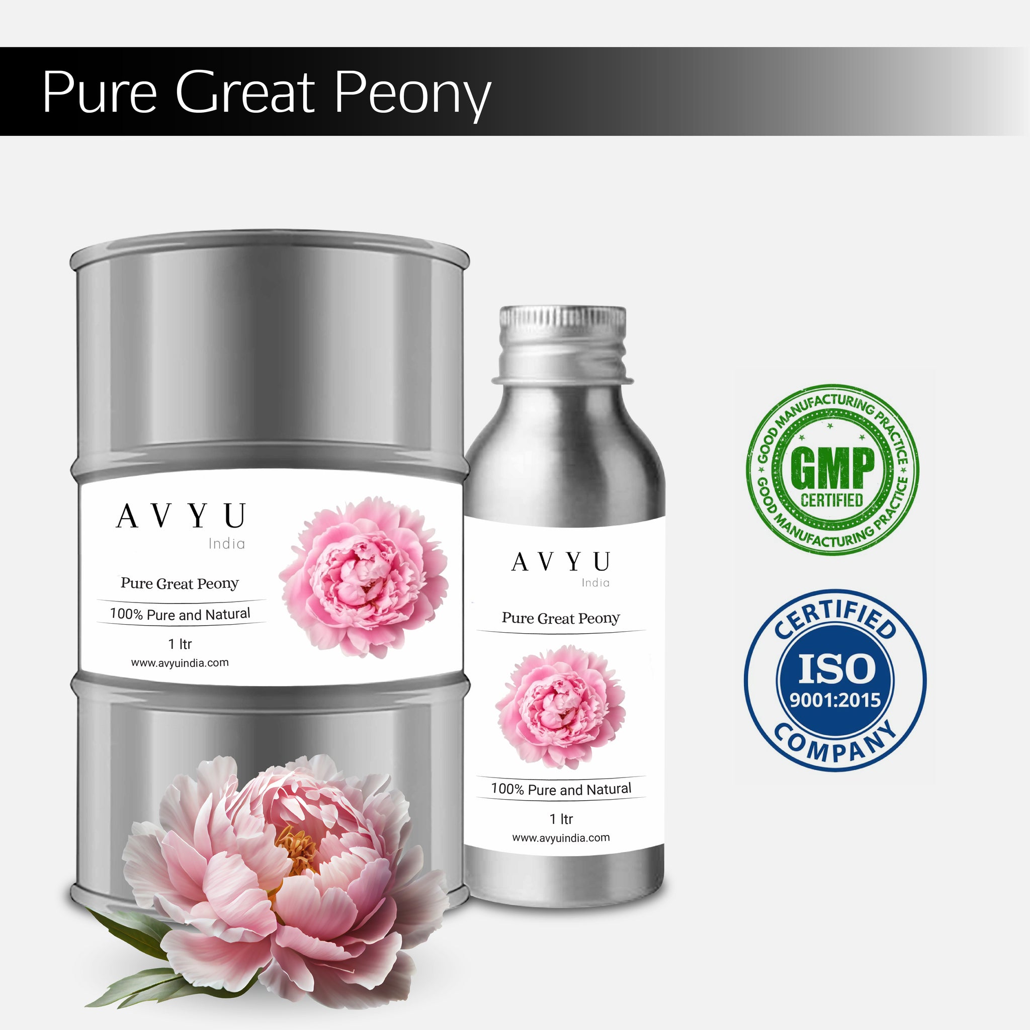 Pure Great Peony