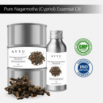 Pure Nagarmotha (Cypriol) Essential Oil